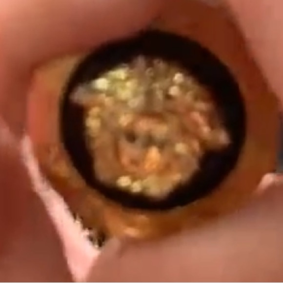 Vintage Authentic Gianni Versace Earring Made in Italy Bag& Box 404236 - Picture 11 of 11